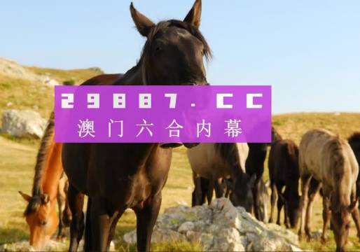 admin 第7页